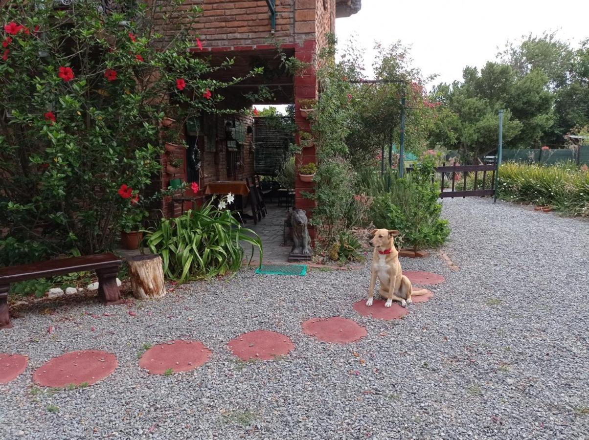 Chale Alto Villa Soriano Ngoại thất bức ảnh