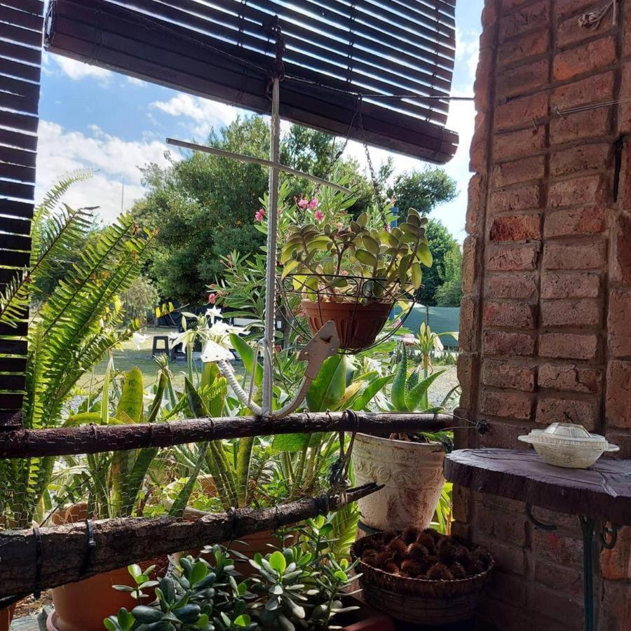 Chale Alto Villa Soriano Ngoại thất bức ảnh